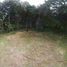  Land for sale in Quevedo, Los Rios, Quevedo, Quevedo