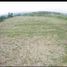  Land for sale in Quevedo, Los Rios, Quevedo, Quevedo