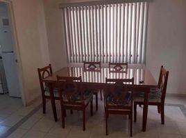 1 Bedroom Apartment for rent in San Luis Potosi, San Luis Potosi, San Luis Potosi, San Luis Potosi
