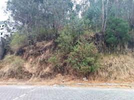  Land for sale in Bicentenario Park, Quito, Quito, Quito