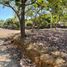  Land for sale in Barichara, Santander, Barichara