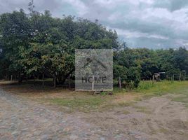  Land for sale in Guayllabamba, Quito, Guayllabamba