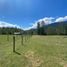  Terreno (Parcela) en venta en Araucanía, Pucón, Cautín, Araucanía
