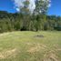  Terreno (Parcela) en venta en Araucanía, Pucón, Cautín, Araucanía