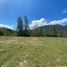  Grundstück zu verkaufen in Pucon, Araucania, Pucon, Cautin, Araucania