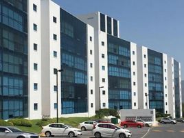 몬테레이, 누에 보 레온PropertyTypeNameBedroom, 몬테레이