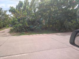  Land for sale in Panglao, Central Visayas, Panglao