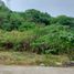  Land for sale in Cebu Central Visayas, Cebu City, Cebu, Central Visayas