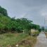  Land for sale in Cebu Central Visayas, Cebu City, Cebu, Central Visayas