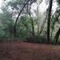  Terreno (Parcela) en venta en Araucanía, Villarrica, Cautín, Araucanía
