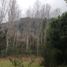  Terreno (Parcela) en venta en Araucanía, Villarrica, Cautín, Araucanía
