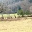  Terreno (Parcela) en venta en Araucanía, Villarrica, Cautín, Araucanía