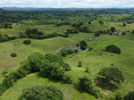 3 Bedroom Villa for sale in Cordoba, Monteria, Cordoba