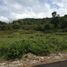  토지을(를) Siquijor, 중앙 비 사야에서 판매합니다., Siquijor, Siquijor