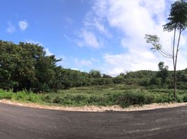  토지을(를) Siquijor, 중앙 비 사야에서 판매합니다., Siquijor, Siquijor