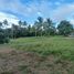  Land for sale in Alfonso, Cavite, Alfonso