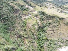  Terrain for sale in Paute, Azuay, San Cristobal Carlos Ordonez Lazo, Paute