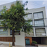3 Schlafzimmer Wohnung zu verkaufen in Cuajimalpa De Morelos, Mexico City, Cuajimalpa De Morelos