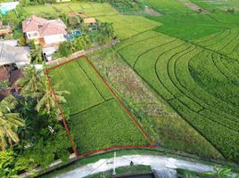  Land for sale in Kerambitan, Tabanan, Kerambitan