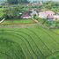  Land for sale in Kerambitan, Tabanan, Kerambitan