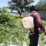 Grundstück zu verkaufen in Miacatlan, Morelos, Miacatlan