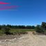  Terreno (Parcela) en venta en Ñuble, Chillan, Diguillín, Ñuble