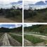  Land for sale in Tagkawayan, Quezon, Tagkawayan