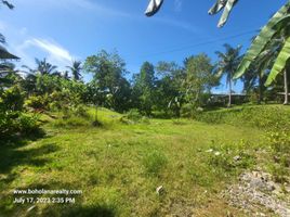  Land for sale in Dauis, Bohol, Dauis