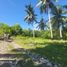  Land for sale in Dauis, Bohol, Dauis