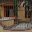 在San Andres Tuxtla, Veracruz出售的4 卧室 屋, San Andres Tuxtla