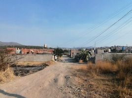  Terreno (Parcela) en venta en Tarimbaro, Michoacán, Tarimbaro