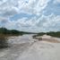 在Celestun, Yucatan出售的 土地, Celestun