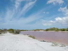 在Celestun, Yucatan出售的 土地, Celestun