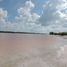 在Celestun, Yucatan出售的 土地, Celestun