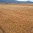  Land for sale in Tepeapulco, Hidalgo, Tepeapulco
