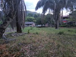  Land for sale in Tolima, Melgar, Tolima