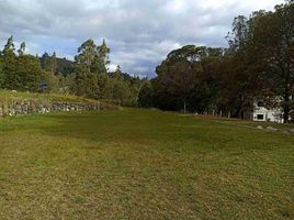  Terreno (Parcela) en venta en Paccha, Cuenca, Paccha