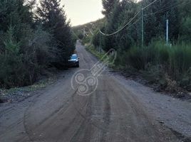  Land for sale in Lacar, Neuquen, Lacar