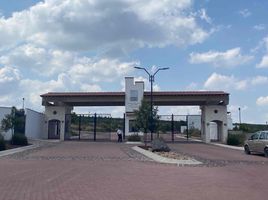  Grundstück zu verkaufen in El Marques, Queretaro, El Marques