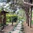3 Bedroom House for rent in AsiaVillas, Tapalpa, Jalisco, Mexico