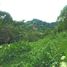  Terreno (Parcela) en venta en Cebu City, Central Visayas, Cebu City, Cebu, Central Visayas, Filipinas