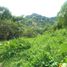  Terreno (Parcela) en venta en Cebu City, Central Visayas, Cebu City, Cebu, Central Visayas, Filipinas