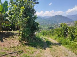  Land for sale in Malacatos Valladolid, Loja, Malacatos Valladolid, Loja, Loja
