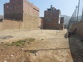  Terreno (Parcela) en venta en Lurigancho, Lima, Lurigancho