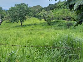  Land for sale in Ibague, Tolima, Ibague