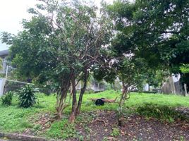  Terreno (Parcela) en venta en Quezon City, Metro Manila, Quezon City, Eastern District, Metro Manila