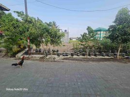  Tanah for sale in Yogyakarta, Gamping, Sleman, Yogyakarta