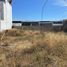  Land for rent in Culiacan, Sinaloa, Culiacan