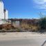  Land for rent in Culiacan, Sinaloa, Culiacan