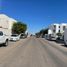  Land for rent in Culiacan, Sinaloa, Culiacan